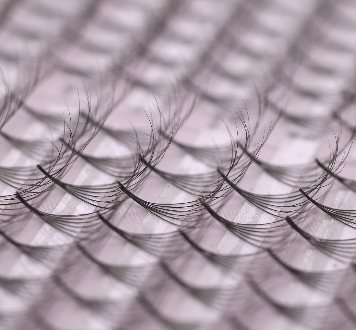 6D Double Layered Signature Mink PreMade Lash Fans - CC Curl &amp; D Curl 0.03 x 8-15mm