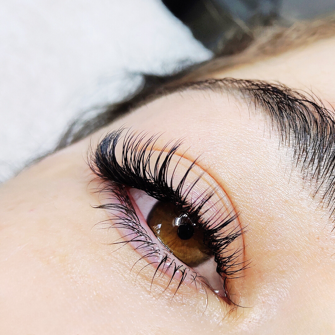 Signature Mink "Wet Lash Look" Closed Lash Fans - D Curl