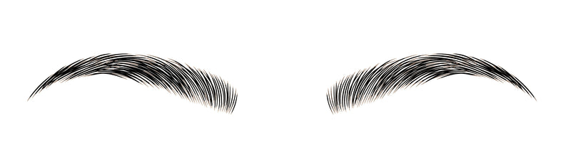 Eyebrows on Point Brow Sculptor – Ebony
